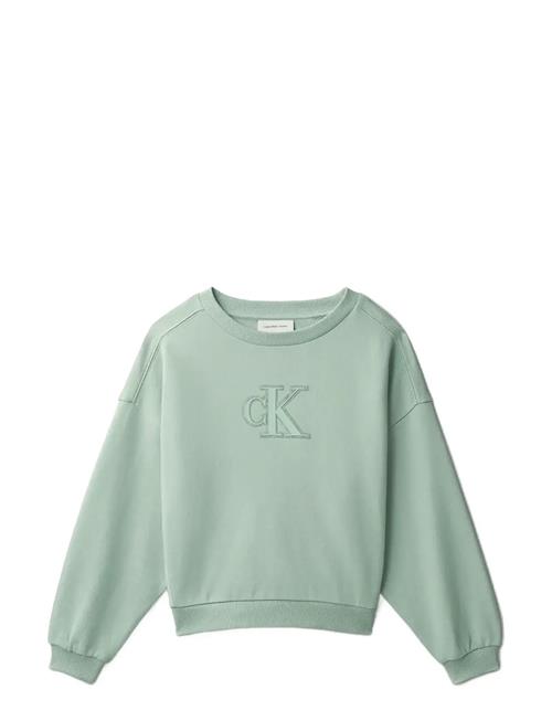 Calvin Klein | Ck Crewneck Sweatshirt | 170