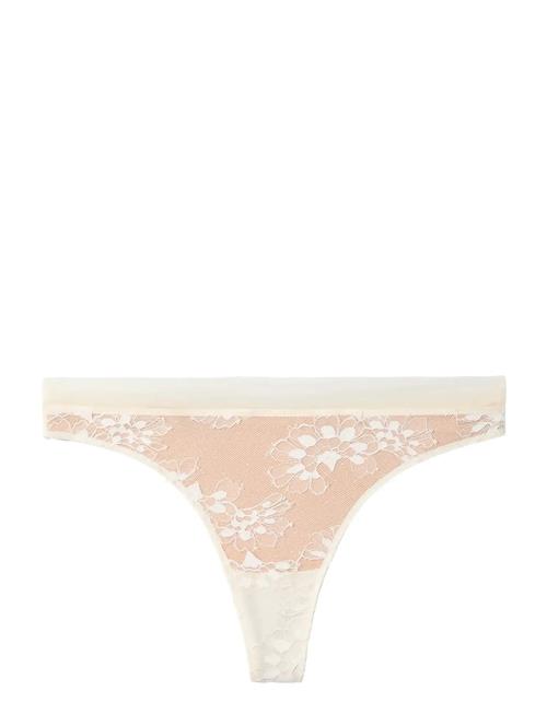 Se Calvin Klein | Thong | XL hos Booztlet