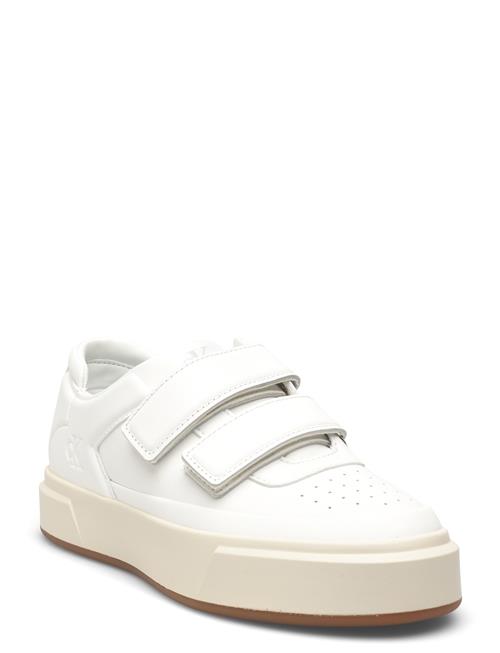 Calvin Klein | Basket Cups Velcro Lth | 41