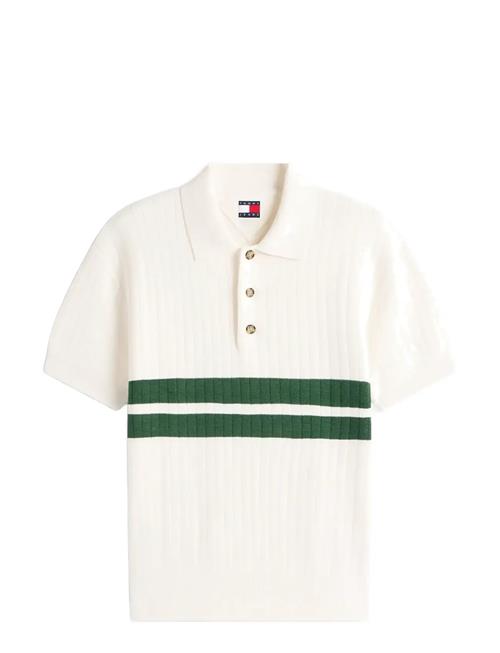 Tommy Jeans | Tjm Reg Ss Knitted Polo | L