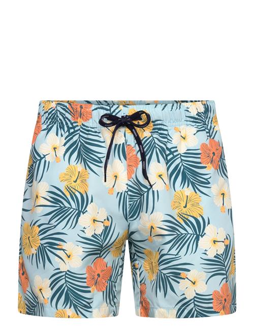 VINSON | Vinson Spencer Reg Swim Men | XXL
