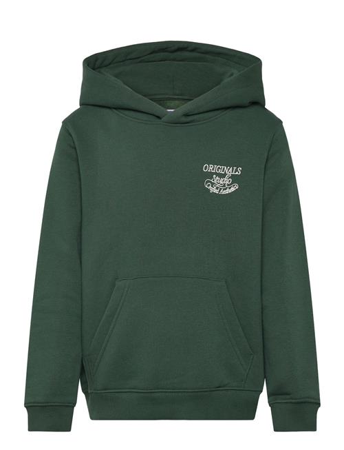Jack & Jones | Jorniagara Typo Sweat Hood Jnr | 152