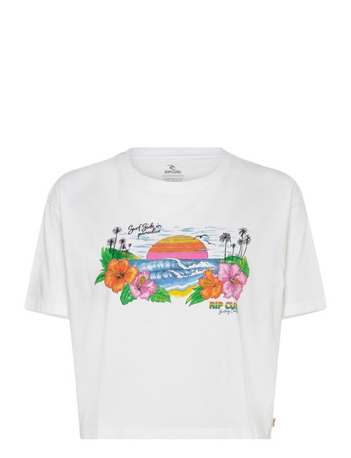 Rip Curl | Sun Rays Cropped Tee | XS