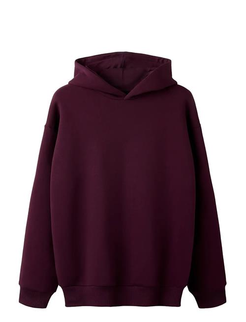 LMTD | Nlnrenar Ls Bru Loose Sweat W. Hood | 158-164