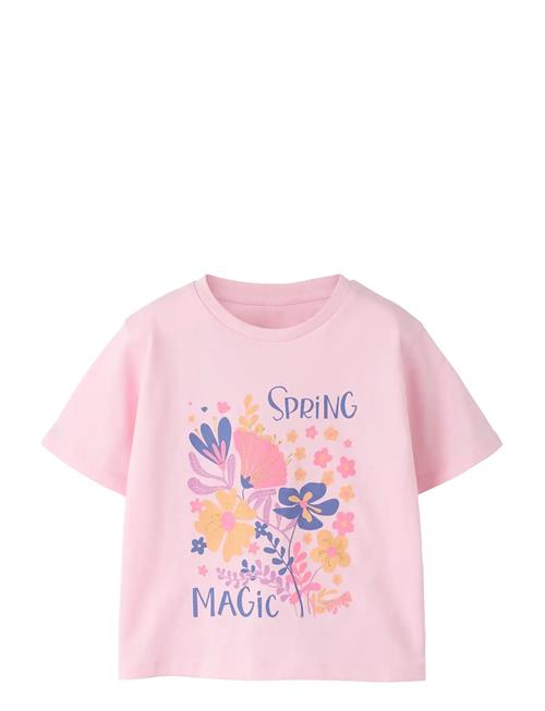 name it | Nmffilana Ss Nreg Top | 116