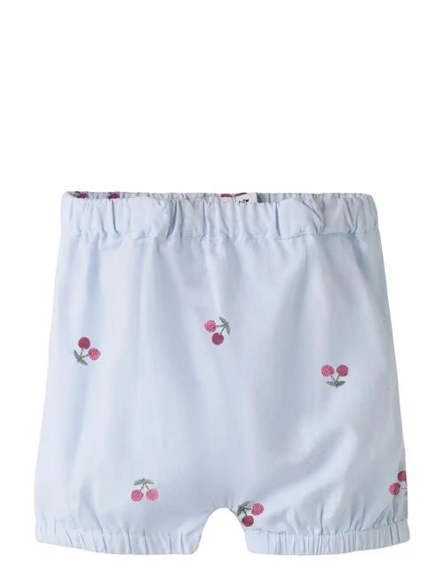 name it | Nbfferilla Bloomer | 68
