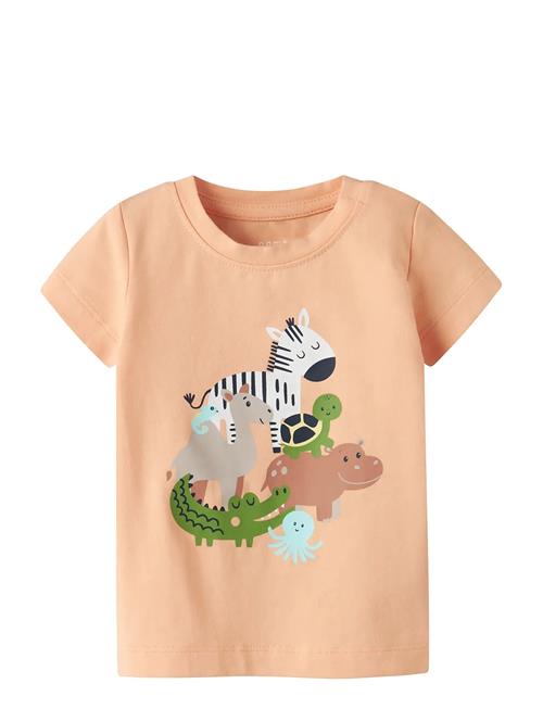 name it | Nbmfartil Ss Top Box | 80