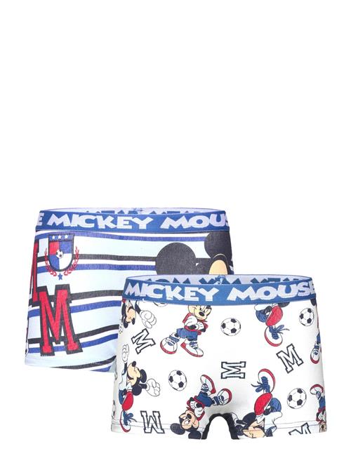 Disney | Boxer | 104/110