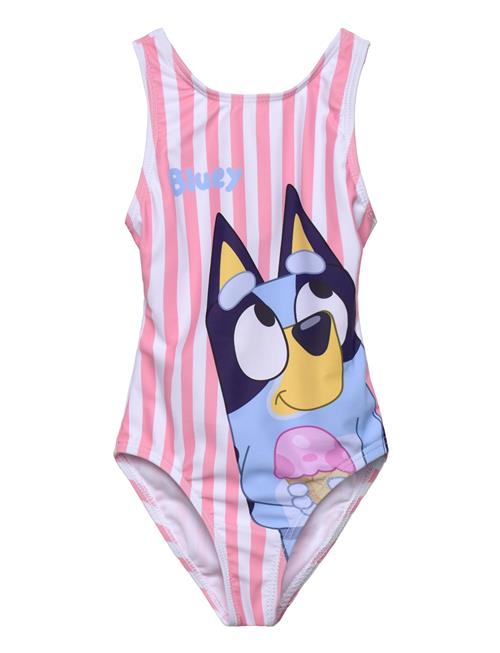 Bluey | Swimwear | 104