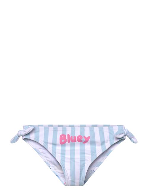 Bluey | Swimwear | 110