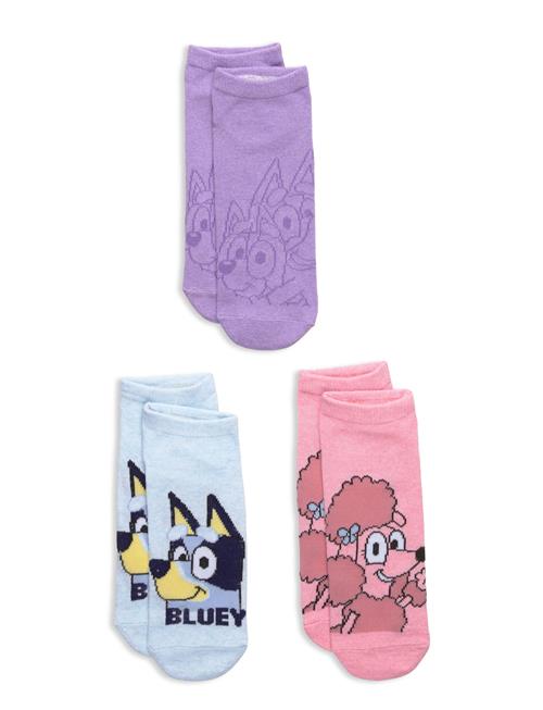 Bluey | Socks | 23/26