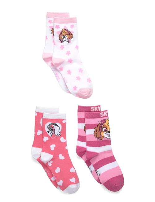 Paw Patrol | Socks | 27/30