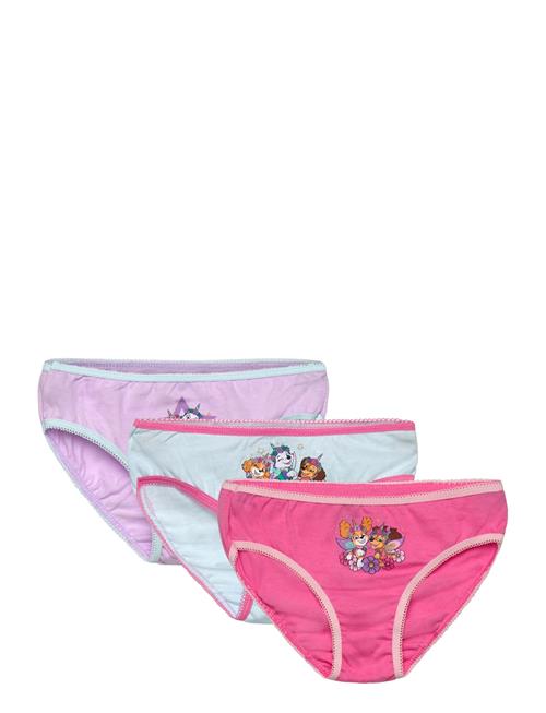 Paw Patrol | Panties | 98/104