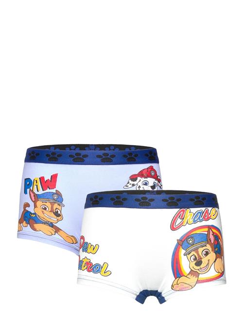 Paw Patrol | Boxer | 98/104