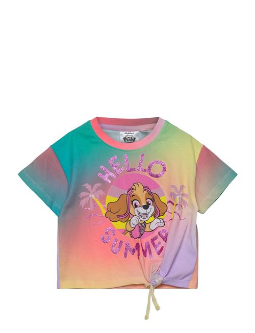 Paw Patrol | Tshirt | 104