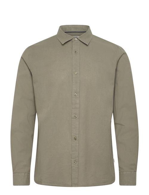 INDICODE | Incordyceps | XXL