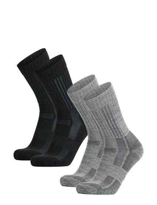 Danish Endurance | Premium Hiking Crew Socks 2-Pack | 39-42