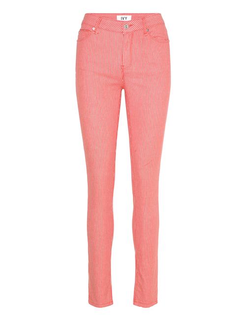 IVY Copenhagen | Ivy-Alexa Jeans Flame Red Striped | 31 x 30