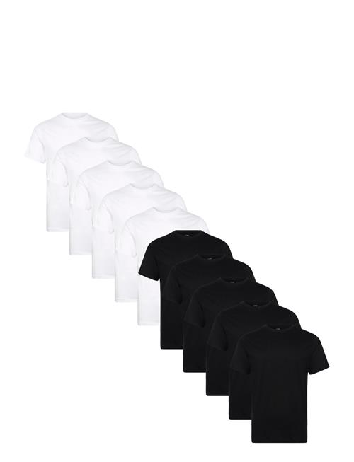 Denim Project | Dp 10 Pack T-Shirt | S