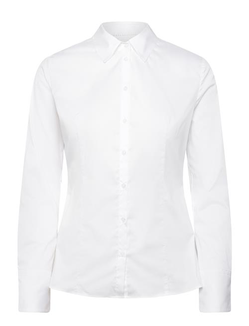 HUGO | The Fitted Shirt | 36