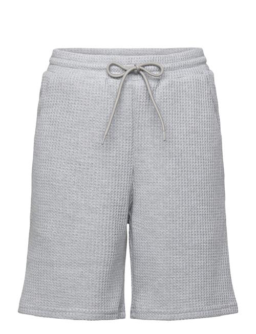 Grunt | Ali Shorts | M/12Y