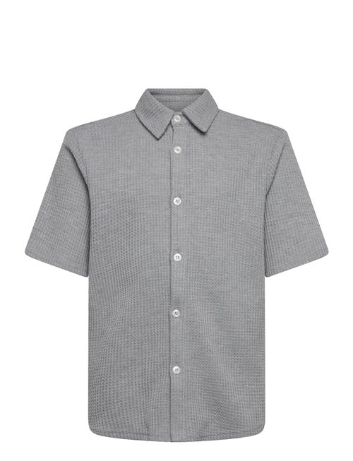 Grunt | Alfred Ss Shirt | L/14Y