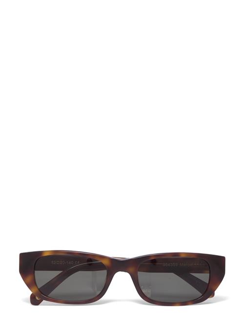 Corlin Eyewear | Marcel Tortoise Green | ONE SIZE