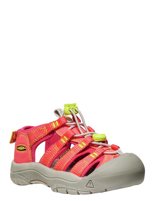 KEEN | Ke Newport Boundless | 31