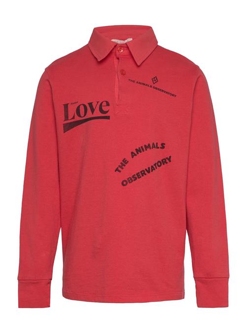 THE ANIMALS OBSERVATORY | Eel Kid Polo Shirt Red | 12 Y