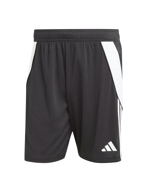 adidas Performance | Tiro24 Sho | XXXL