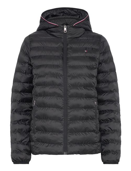 Tommy Hilfiger | Lw Padded Global Stripe Jacket | XL