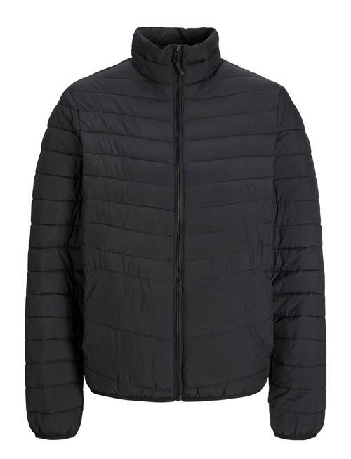 Jack & Jones | Jjestate Packable Puffer Collar Noos | XL