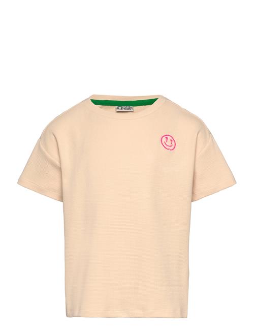 TUMBLE 'N DRY | Tnd Menton | 122