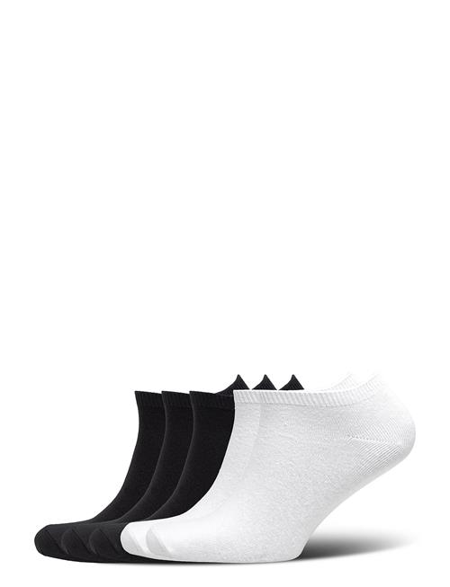 Decoy | Decoy Sneaker Sock Cotton 5-Pk | 37-41