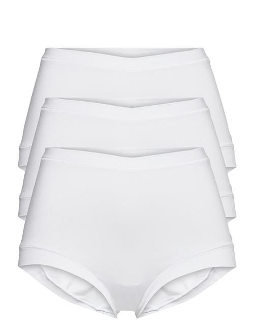 JBS of Denmark | Jbs Of Dk 3-Pack Maxi | S