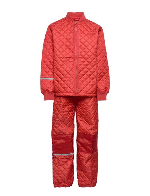 CeLaVi | Basic Thermal Set -Solid | 80