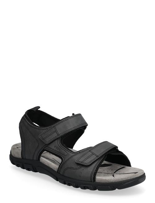 GEOX | Uomo Sandal Strada B | 41