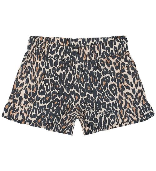 The New Shorts - TnTrue - Rainy Day