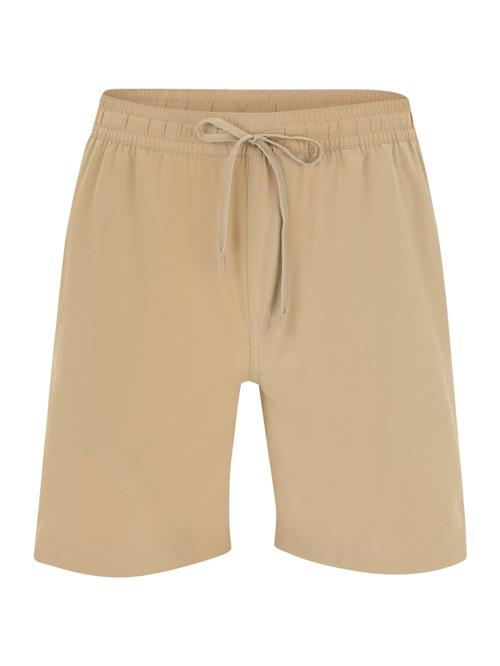 QUIKSILVER Badeshorts 'TAXER AM'  mørkebeige