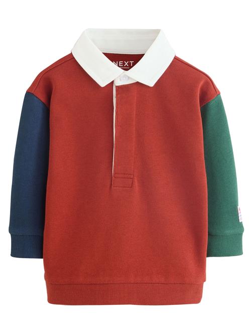 Next Shirts  navy / rustbrun / mørkegrøn / hvid