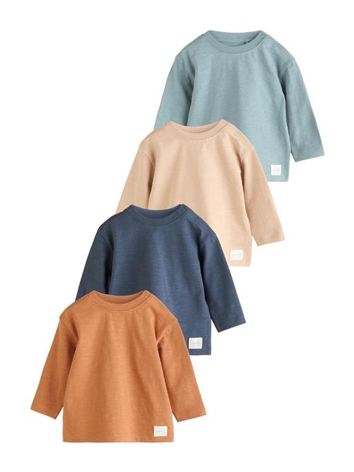 Next Shirts  beige / pastelblå / mørkeblå / brun