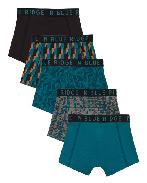 WE Fashion Underbukser  blandingsfarvet