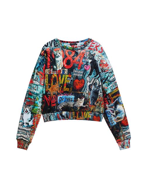 Desigual Sweatshirt  blandingsfarvet