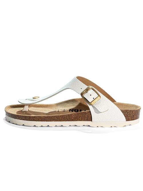 Bayton Klipklappere 'Mercure'  hvid