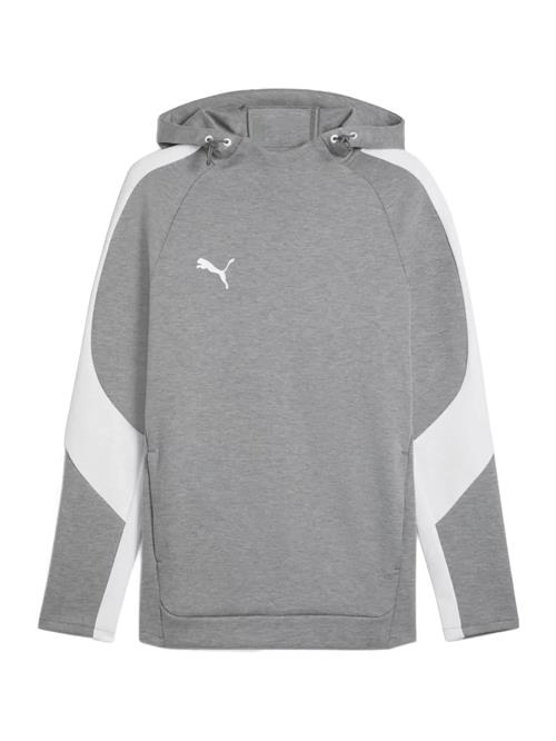 PUMA Sportsweatshirt 'TeamEVOSTRIPE'  grå / lysegrå