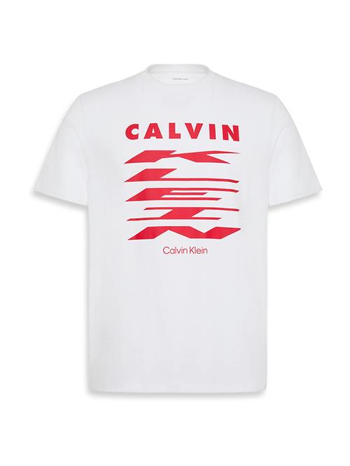 Calvin Klein Jeans Bluser & t-shirts  rød / hvid