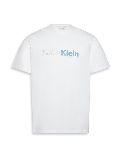 Calvin Klein Bluser & t-shirts  dueblå / hvid / offwhite