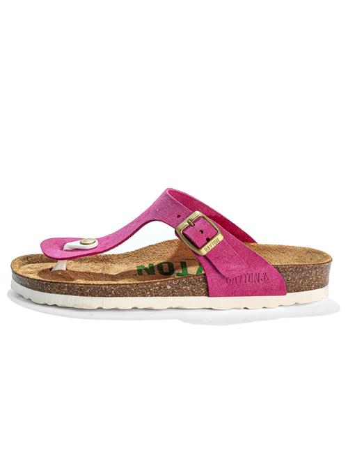 Bayton Klipklappere 'MERCURE'  fuchsia