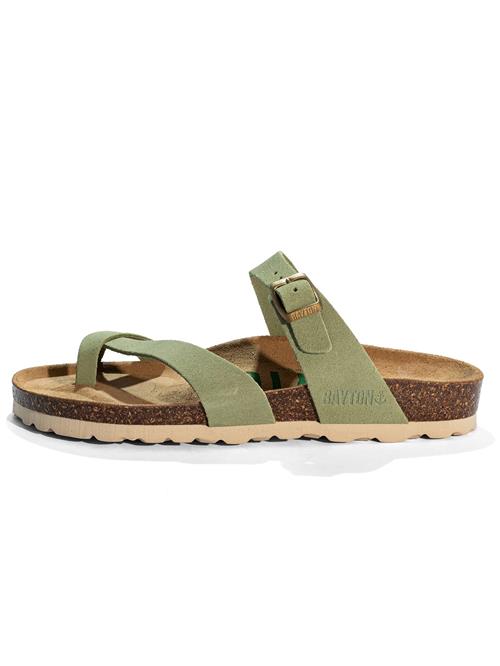 Bayton Klipklappere 'Diane'  kiwi