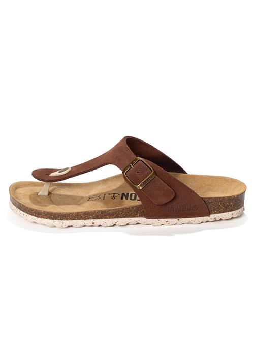 Bayton Klipklappere 'Mercure'  brun